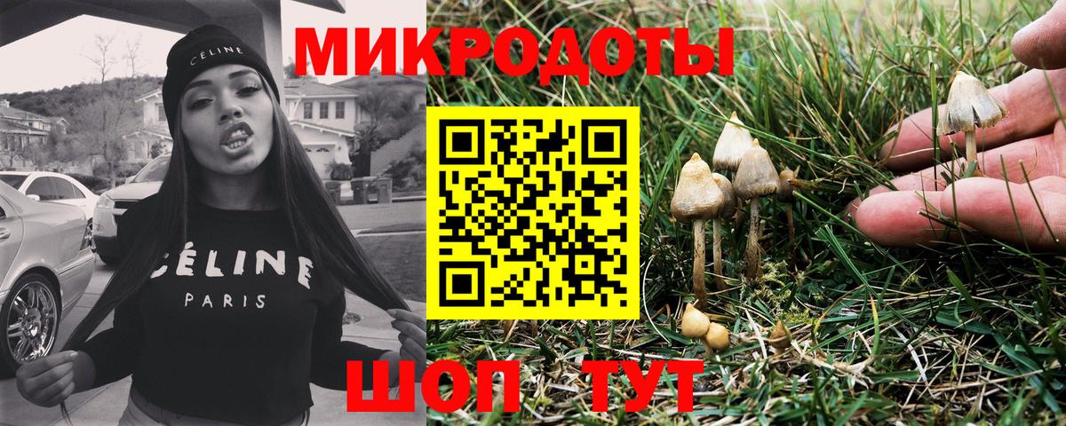 Галлюциногенные грибы прущие грибы  Вход с VPN  Люберцы 