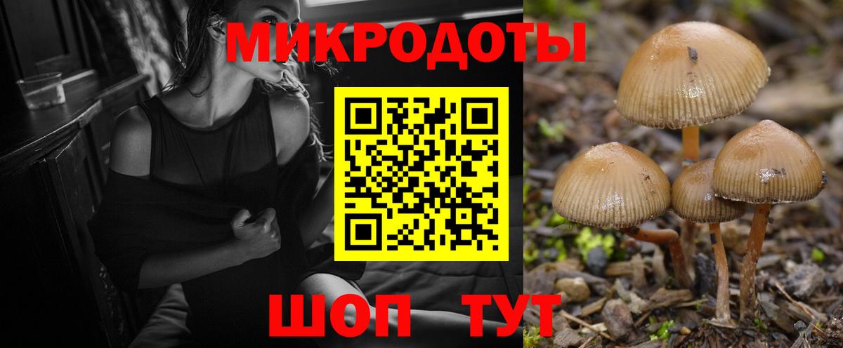 Галлюциногенные грибы Magic Shrooms Люберцы